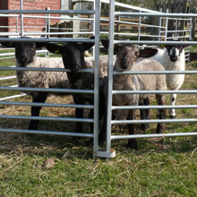 Fishers Mobile Farm